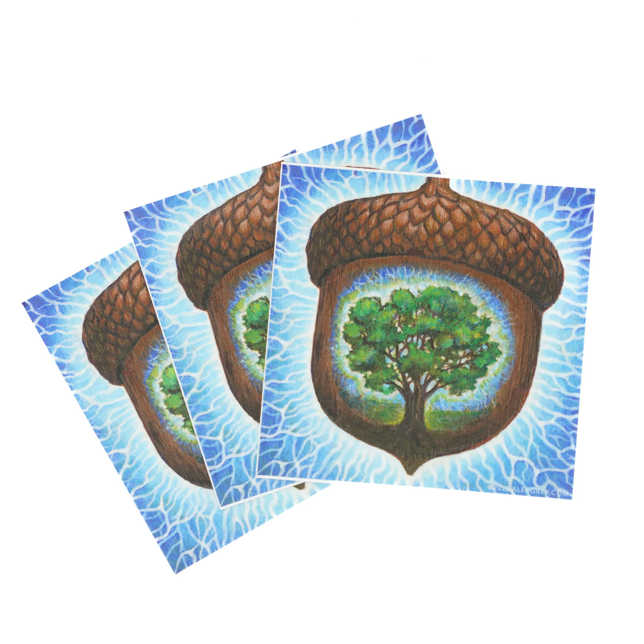 Acorn Dream - Sticker - Image 2