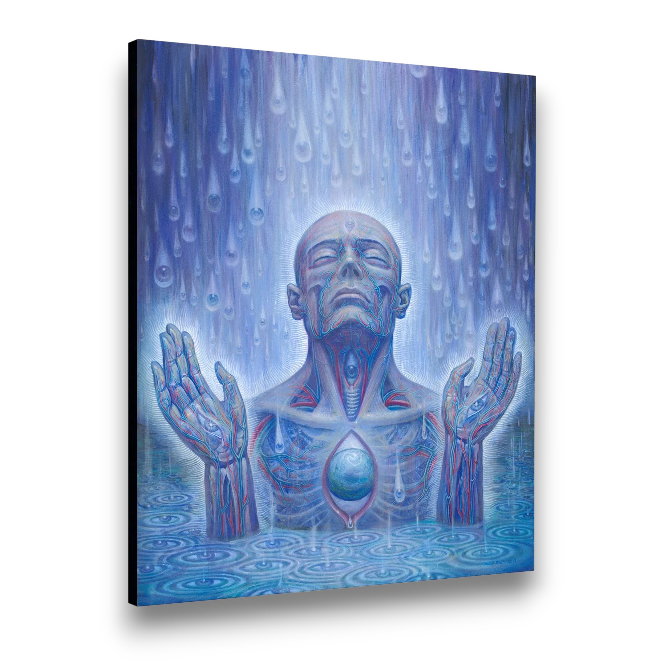 Baptism in the Ocean of Awareness - Canvas Print