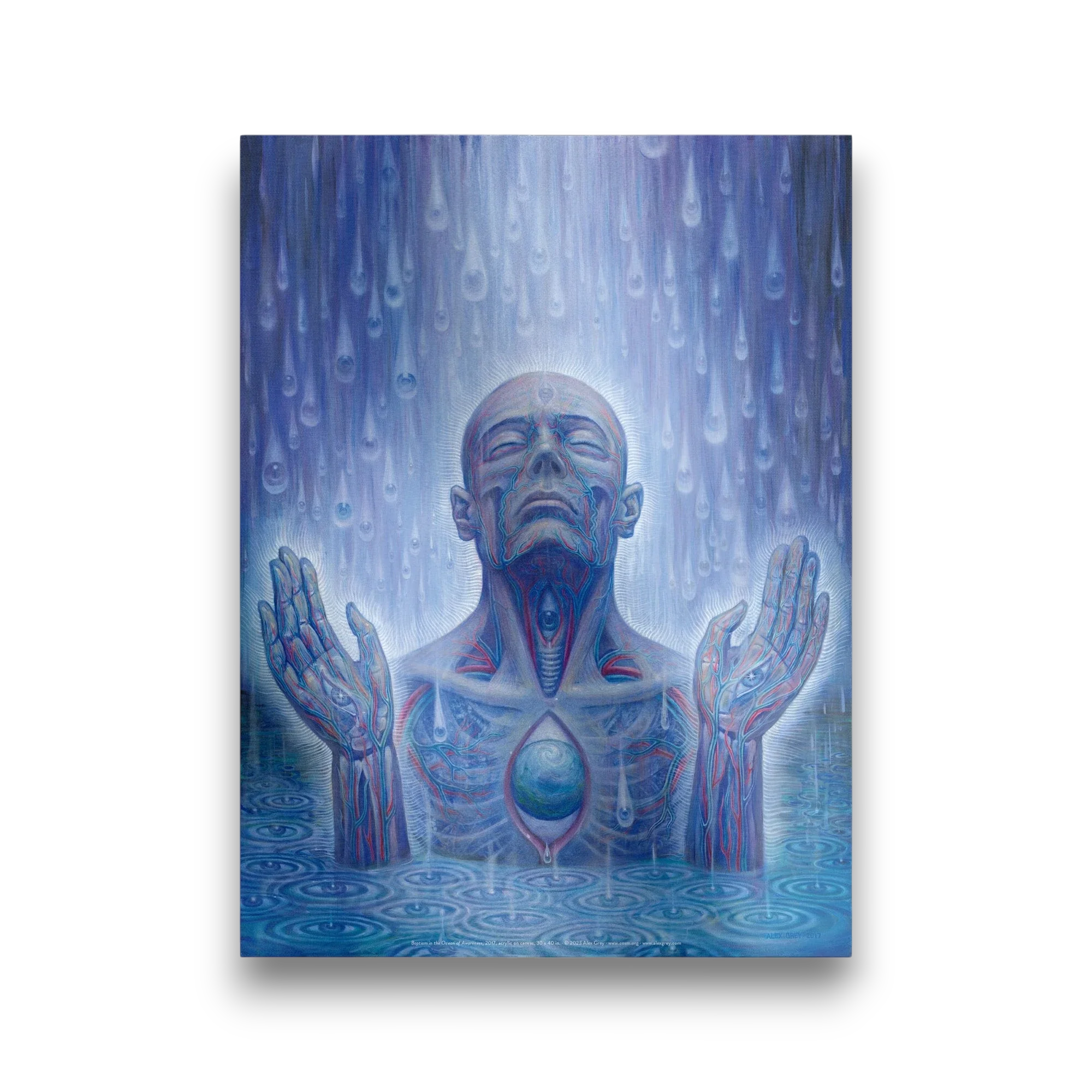 Baptism in the Ocean of Awareness - Poster