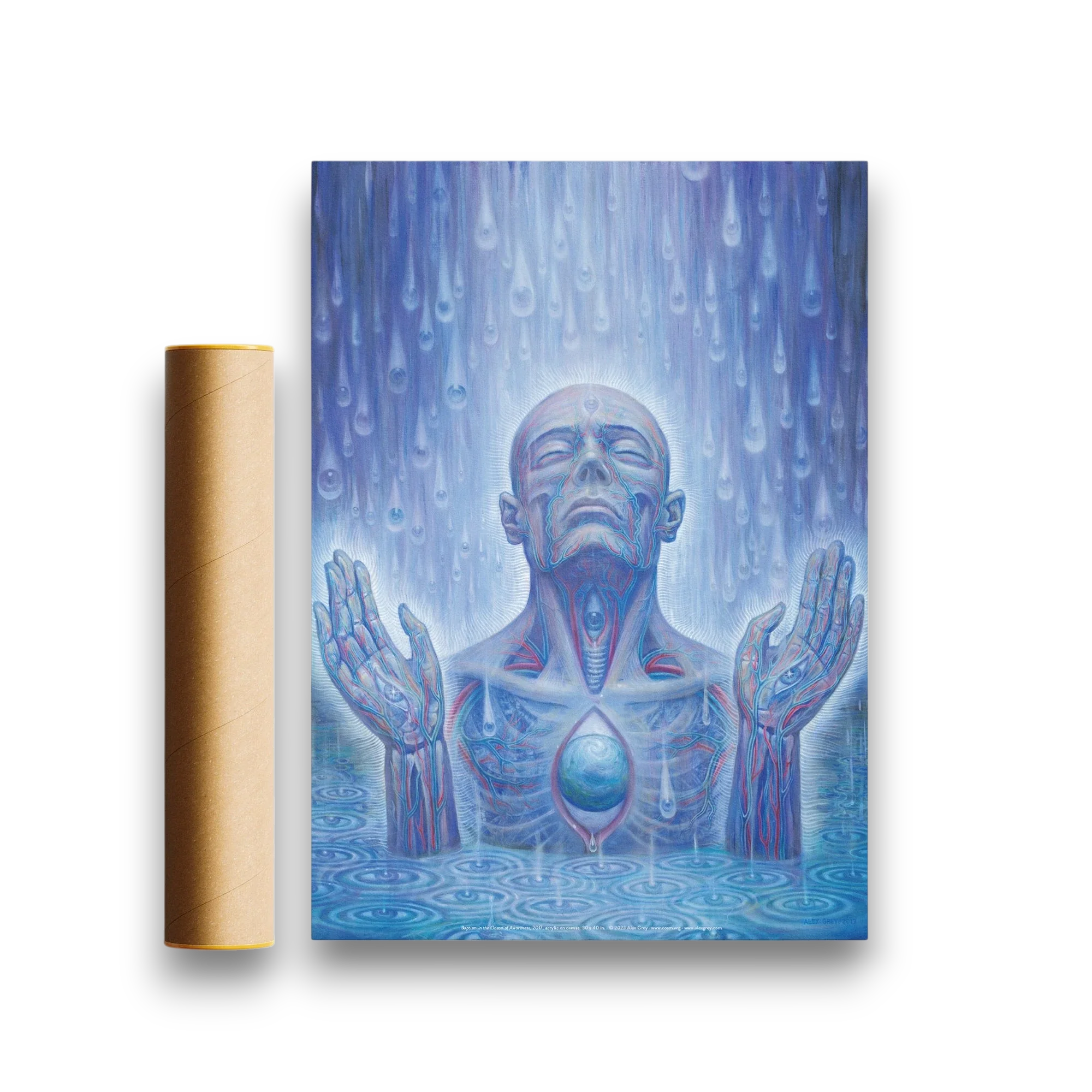 Baptism in the Ocean of Awareness - Poster - Image 2