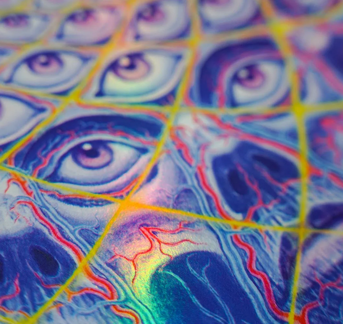 Collective Vision - Holographic Screen Print - Image 2