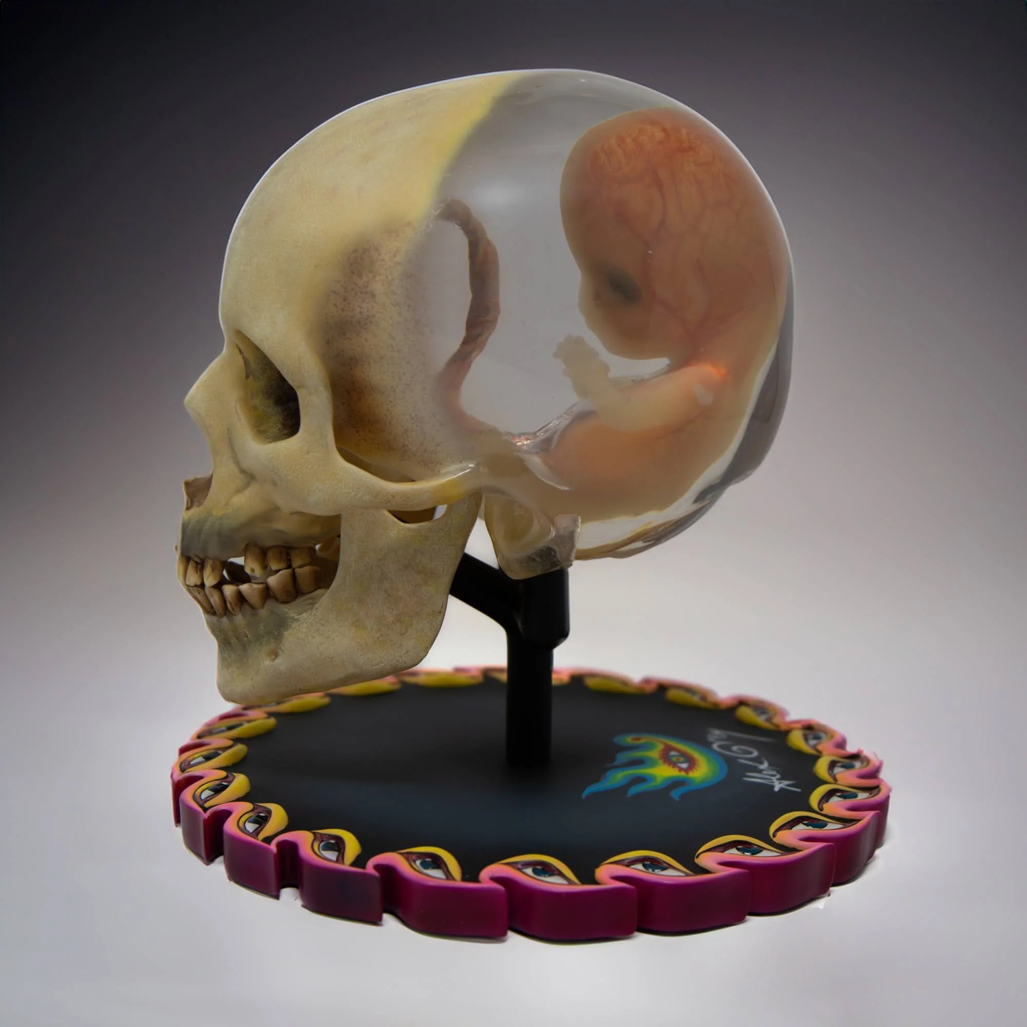 CoSM Fundraiser - Spring 2026