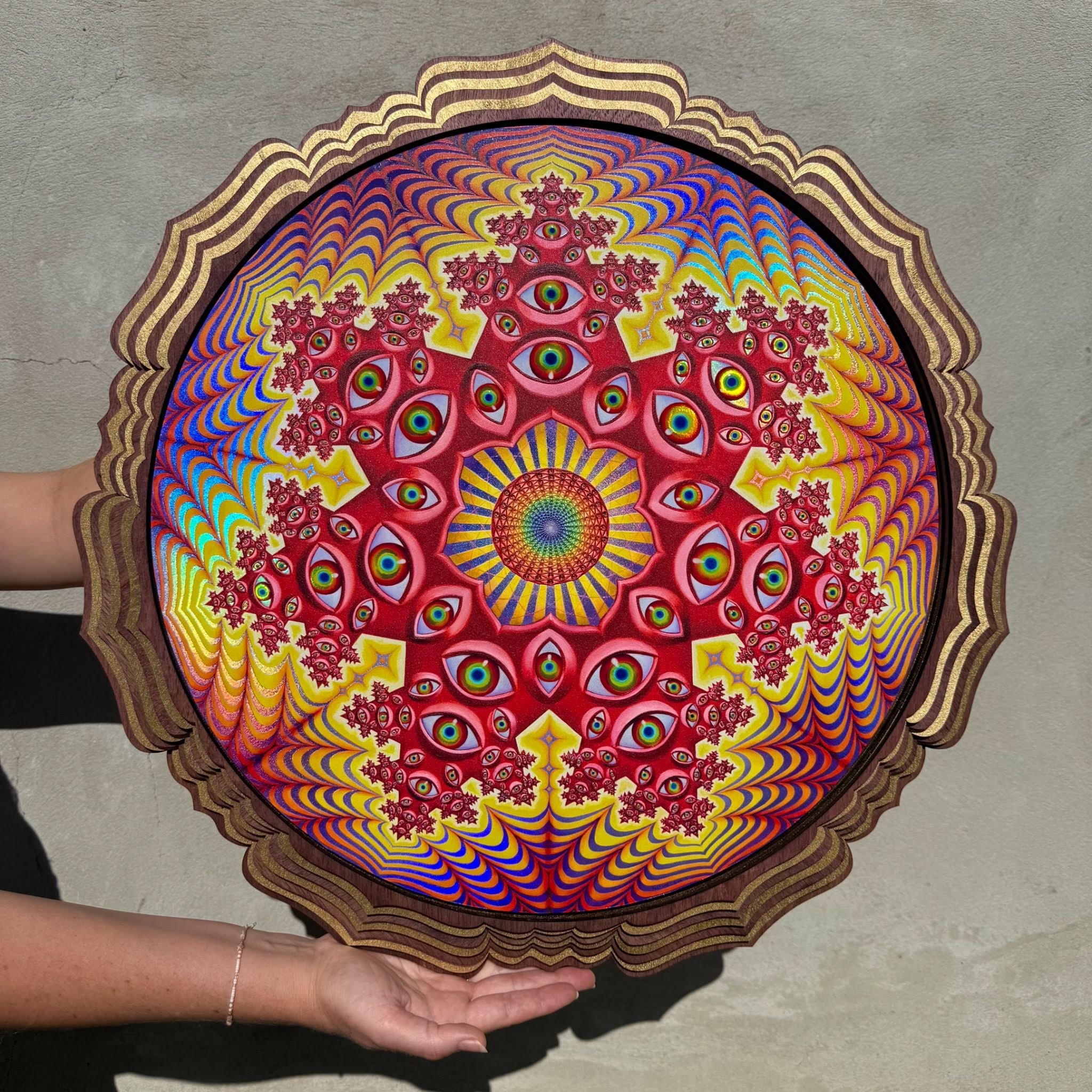 CoSM Fundraiser - Spring 2026 - Image 3