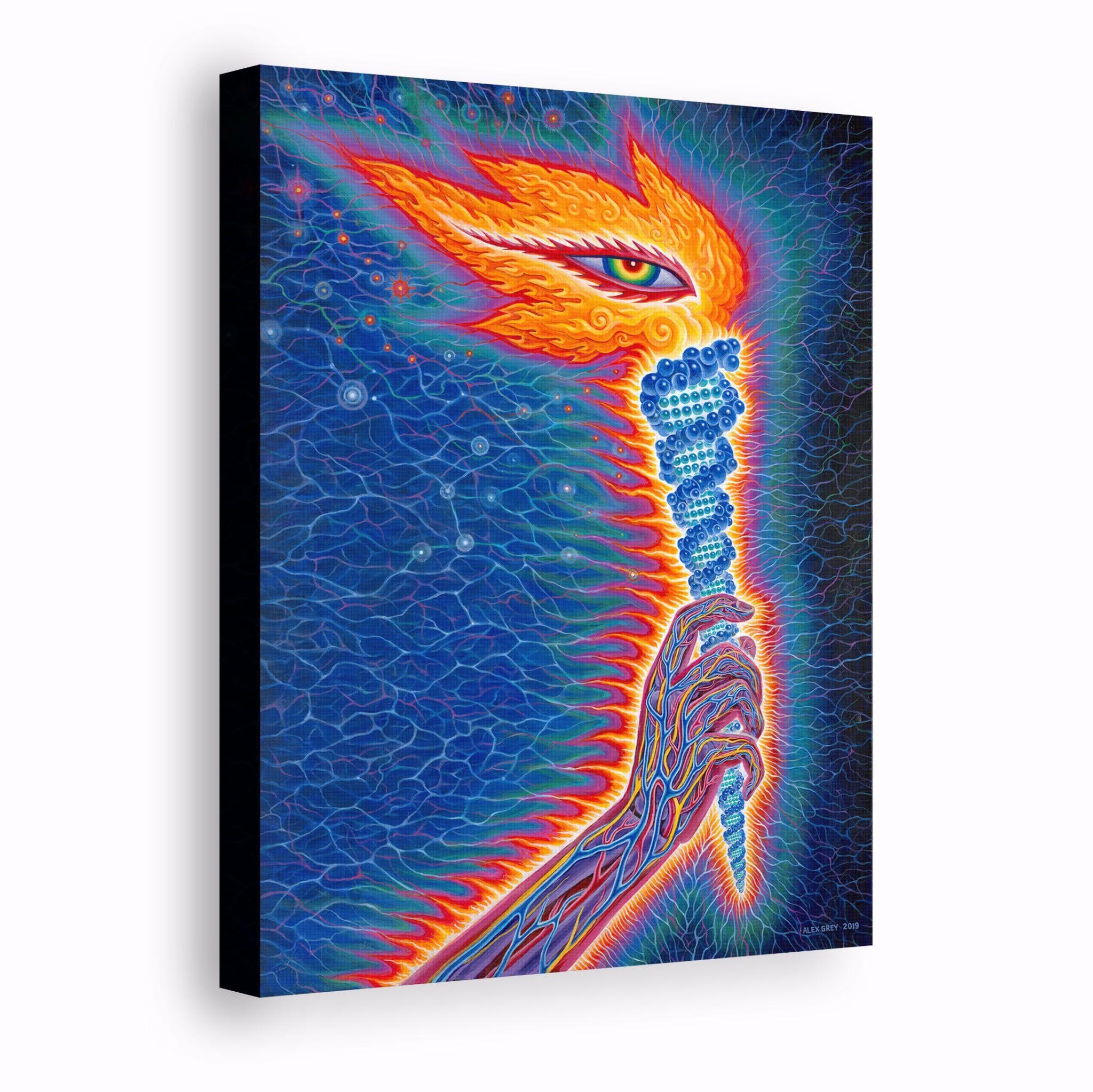 CoSM Fundraiser - Spring 2026 - Image 4