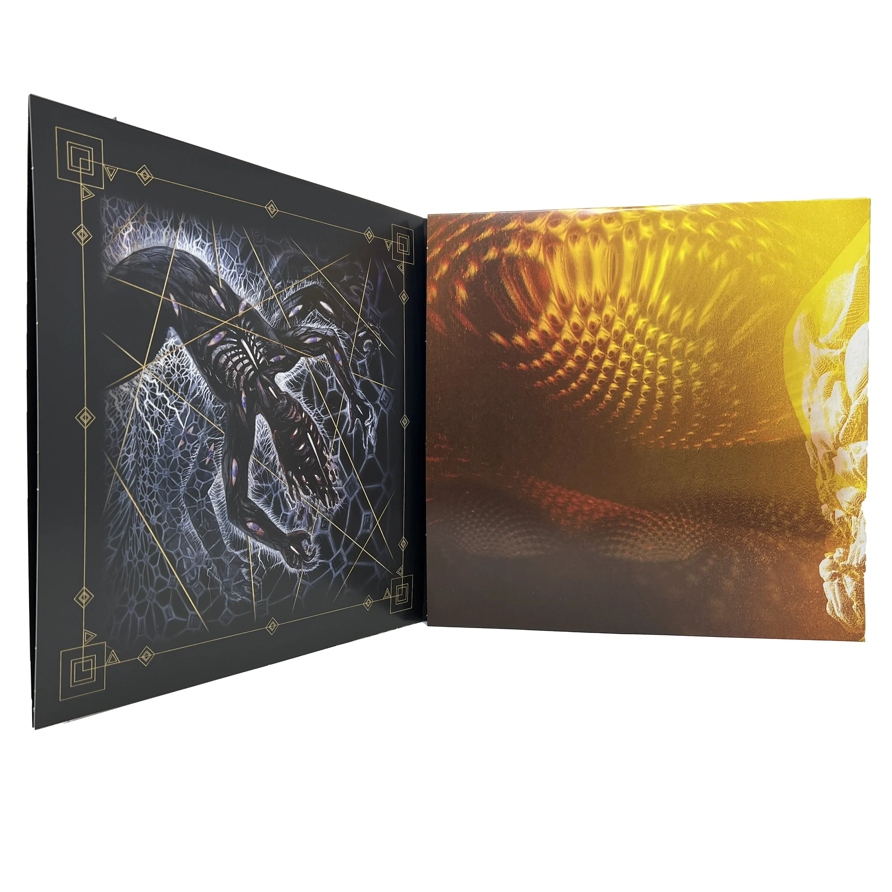 Fear Inoculum - Black Vinyl 180G 3LP - Image 4
