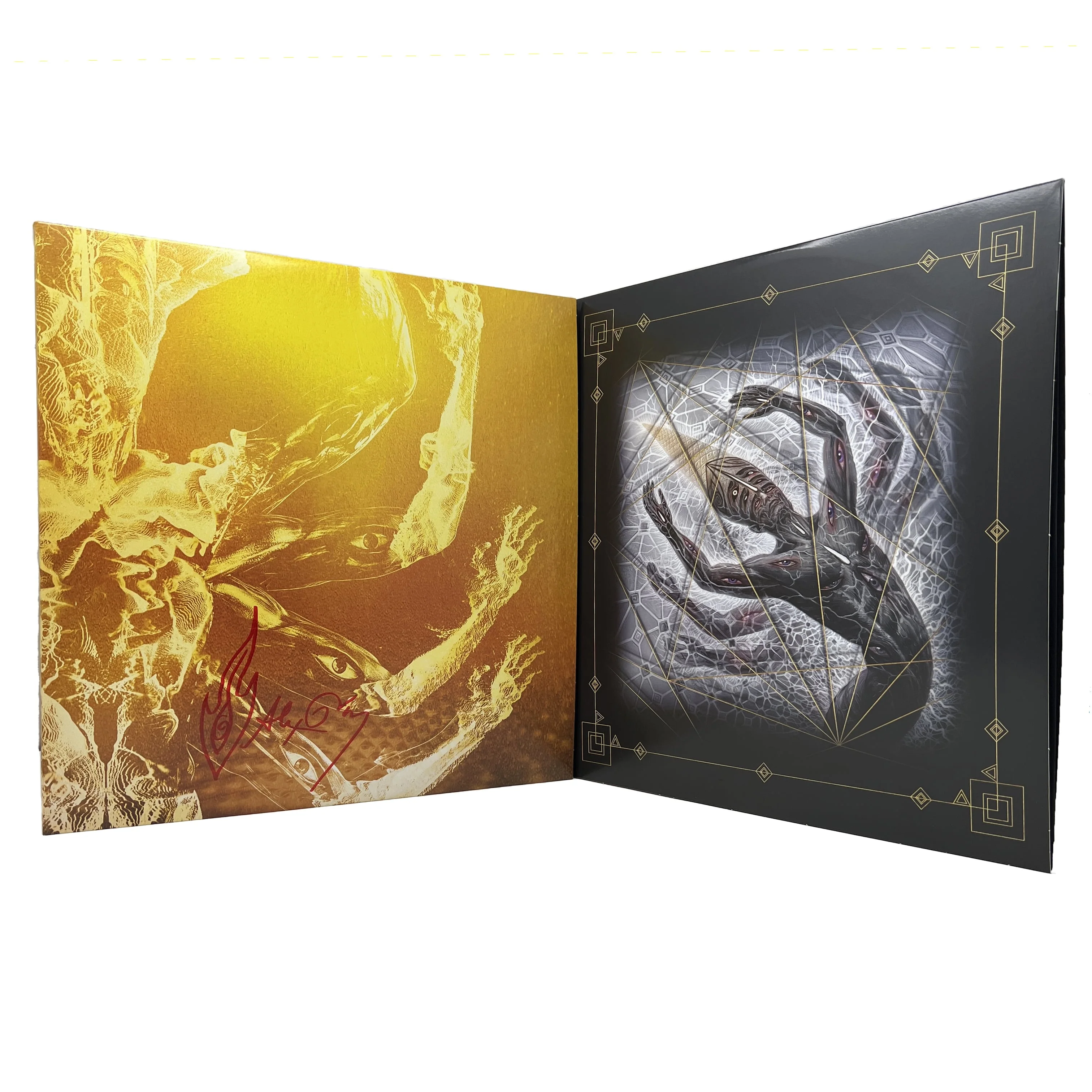 Fear Inoculum - Black Vinyl 180G 3LP - Image 5