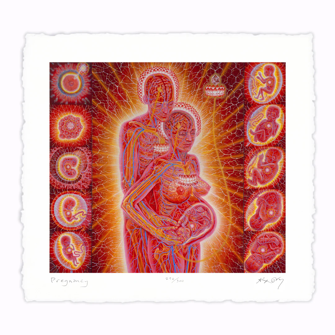 Pregnancy - Paper Print